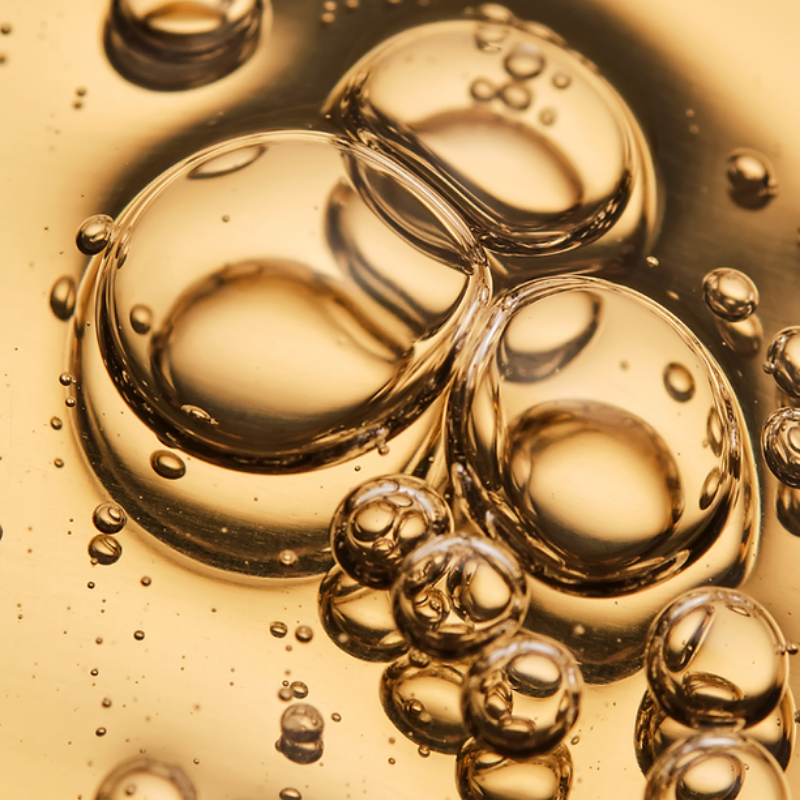 untitled design (10)